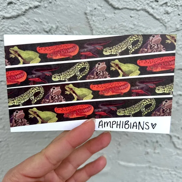 Amphibians Washi Tape