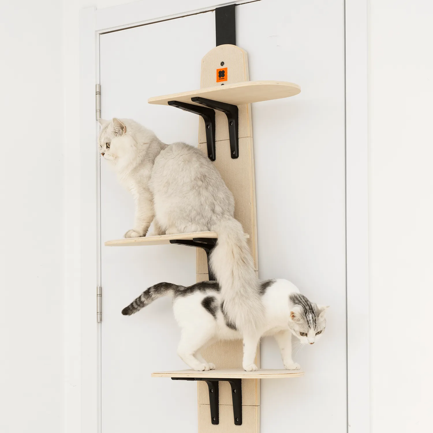 Door Hanging Cat Climber Shelves