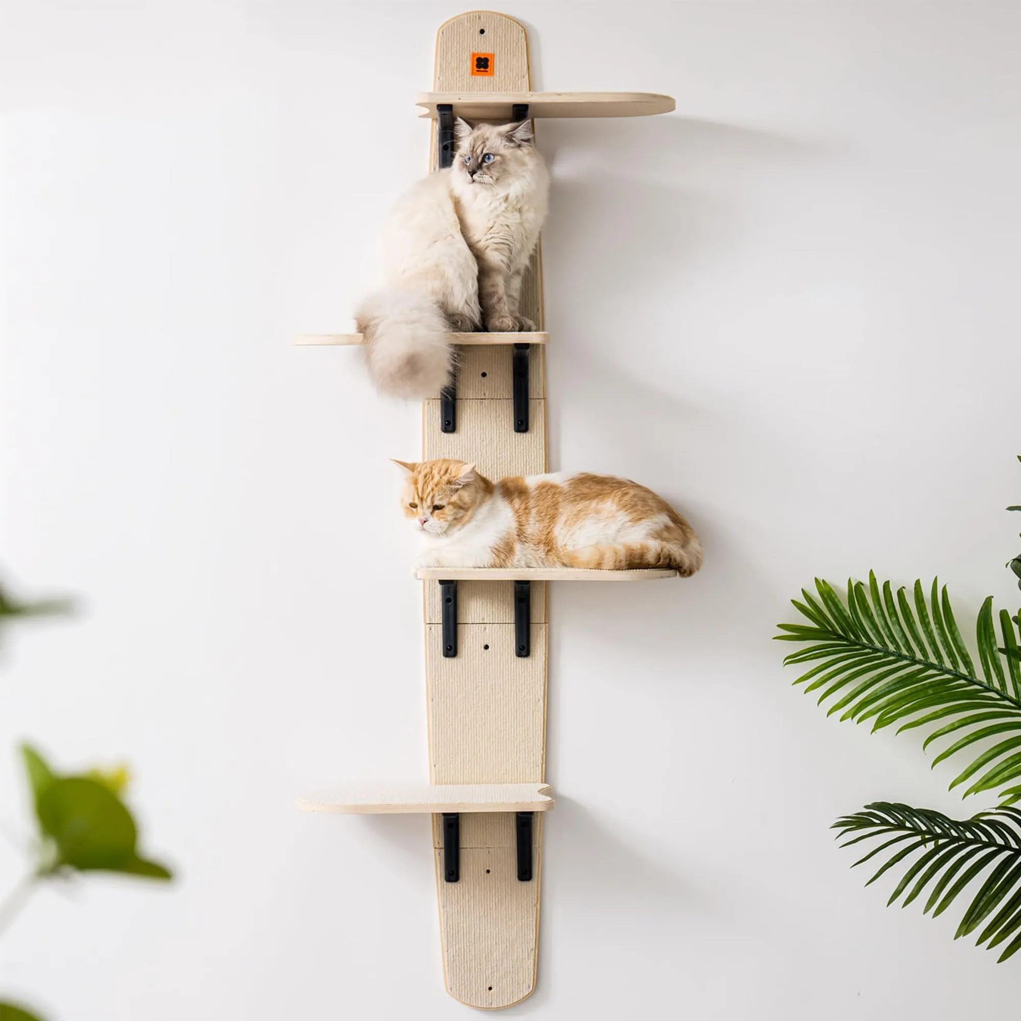 Door Hanging Cat Climber Shelves