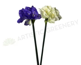 F0001SML Amaryllis Stem 90cm Purle / Red / White