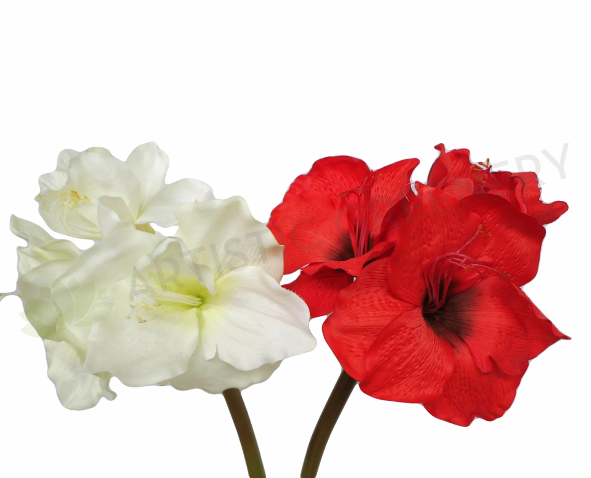 F0001SML Amaryllis Stem 90cm Purle / Red / White