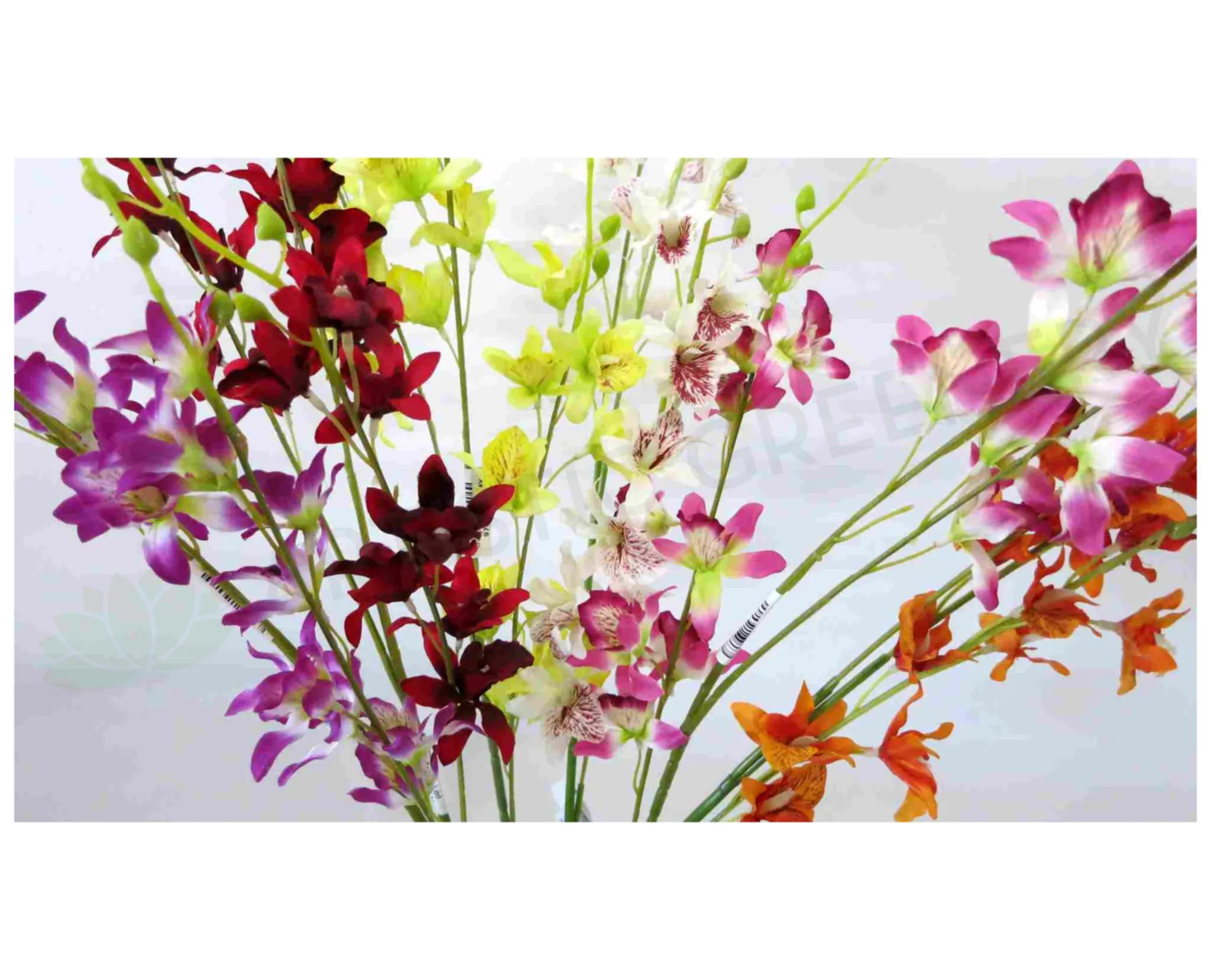 F0051 Laelia Orchid Spray 97cm (6 Colours)