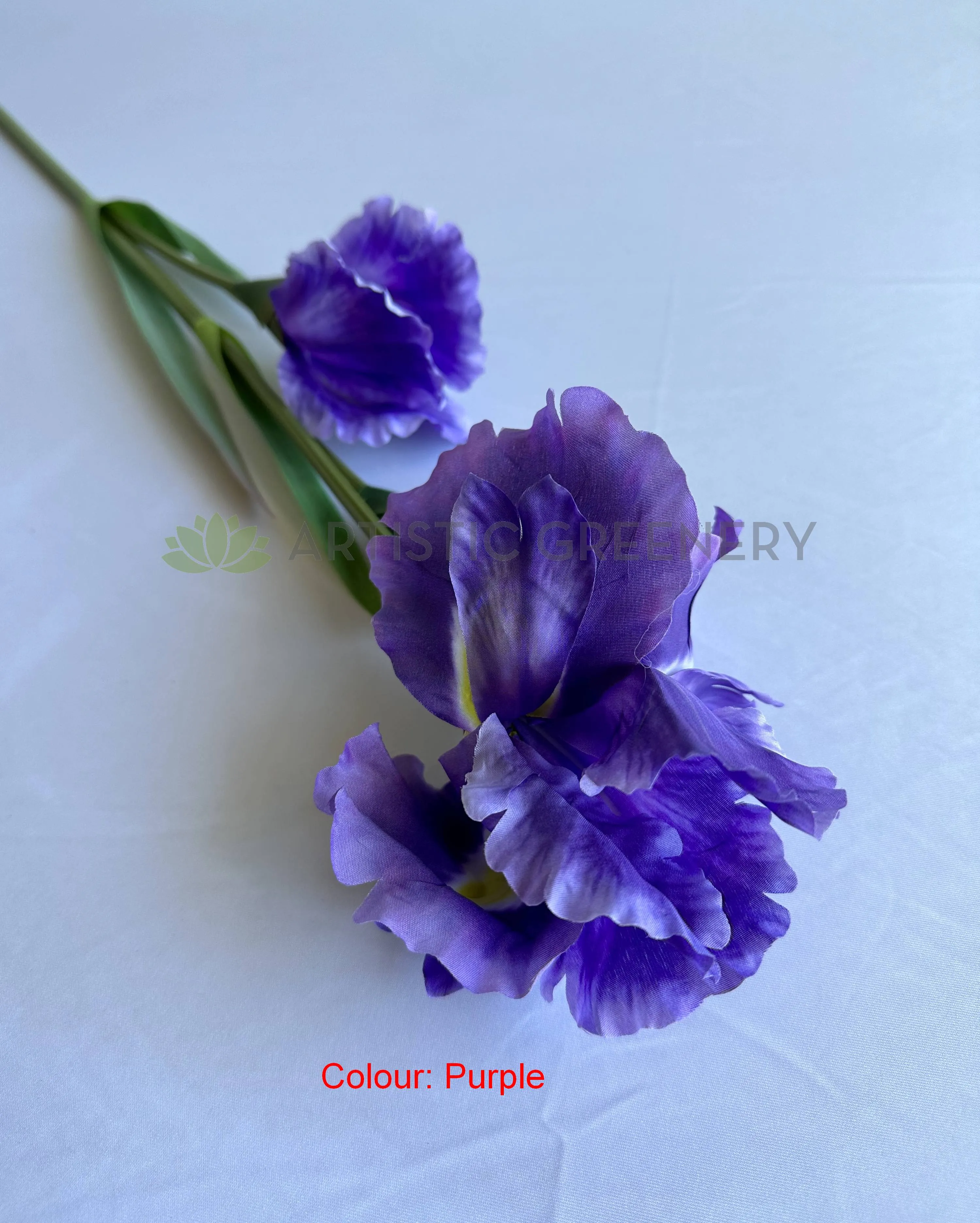 F0445 Dutch Iris Stem 79cm Purple / Lilac