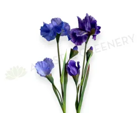 F0445 Dutch Iris Stem 79cm Purple / Lilac