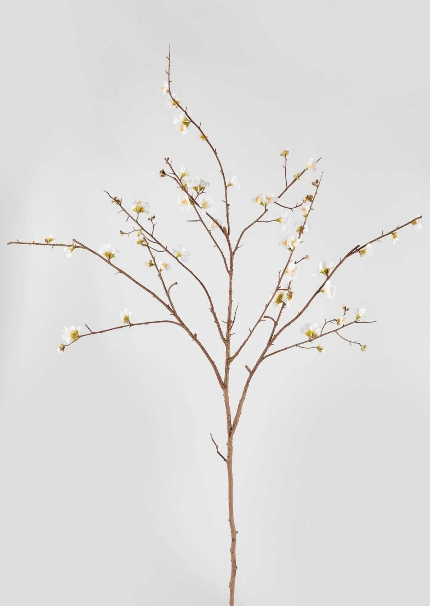 Faux Quince Blossom Branch in Cream - 54"