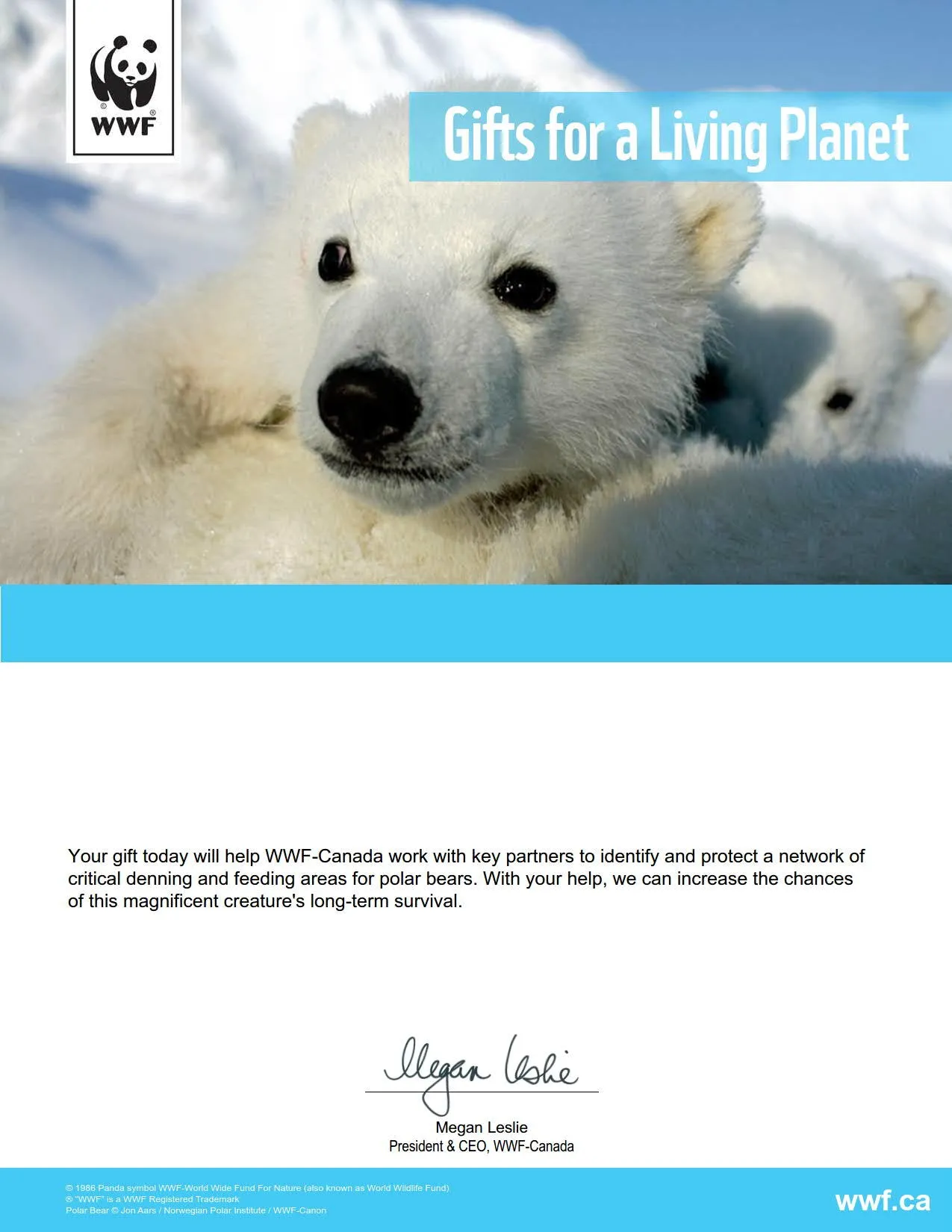 protect polar bear dens